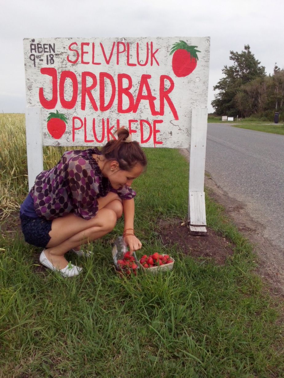 Incecati sa mancati cat mai ecologic in zilele noastre daca aveti posibilitatea, iar daca nu aveti, faceti tot posibilul!