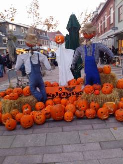 12194082_1063458037020307_1808784713_o