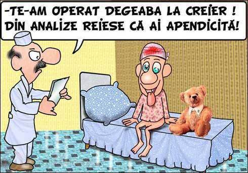 Imagini haioase - momente vesele