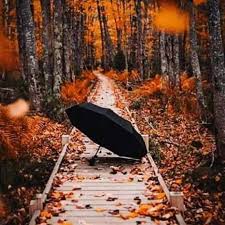 Vara – toamna în&nbsp;Danemarca